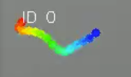 Close-up of a tracked worm with color-coded keypoints from head (red) to tail (blue)